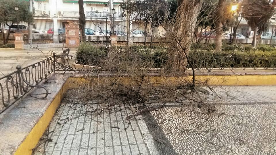 Efectos del vendaval en Cabra el 3 de febrero de 2017.